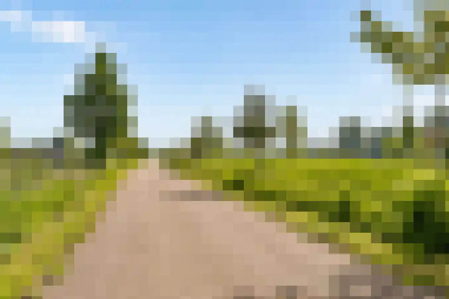 Kerstomaatplantsoen 26 Amsterdam thumbnail 42