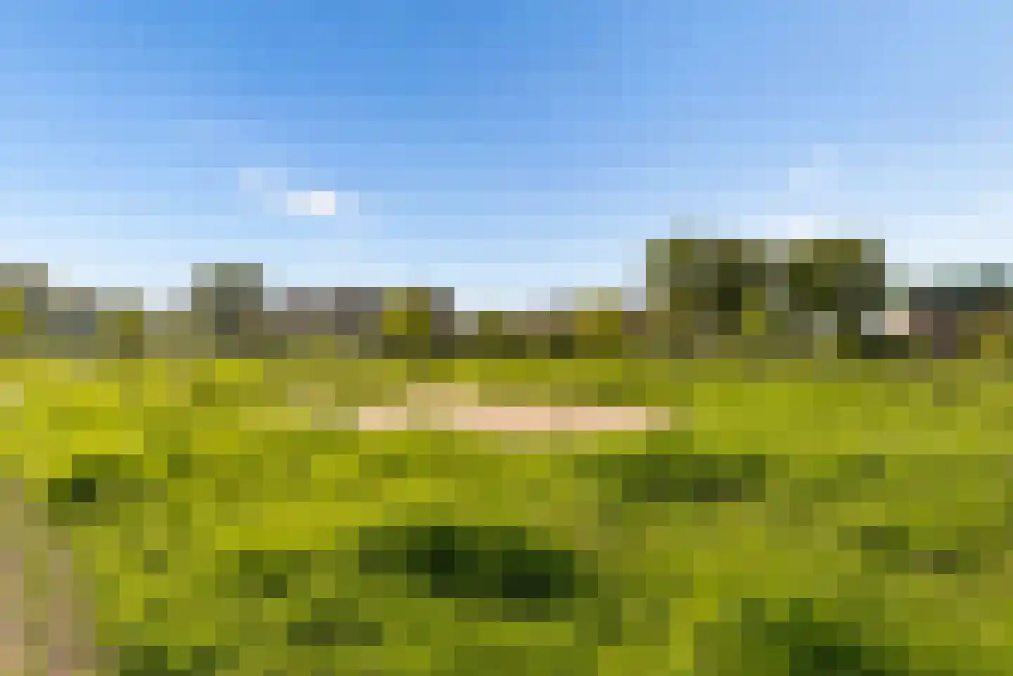 Kerstomaatplantsoen 26 Amsterdam thumbnail 44