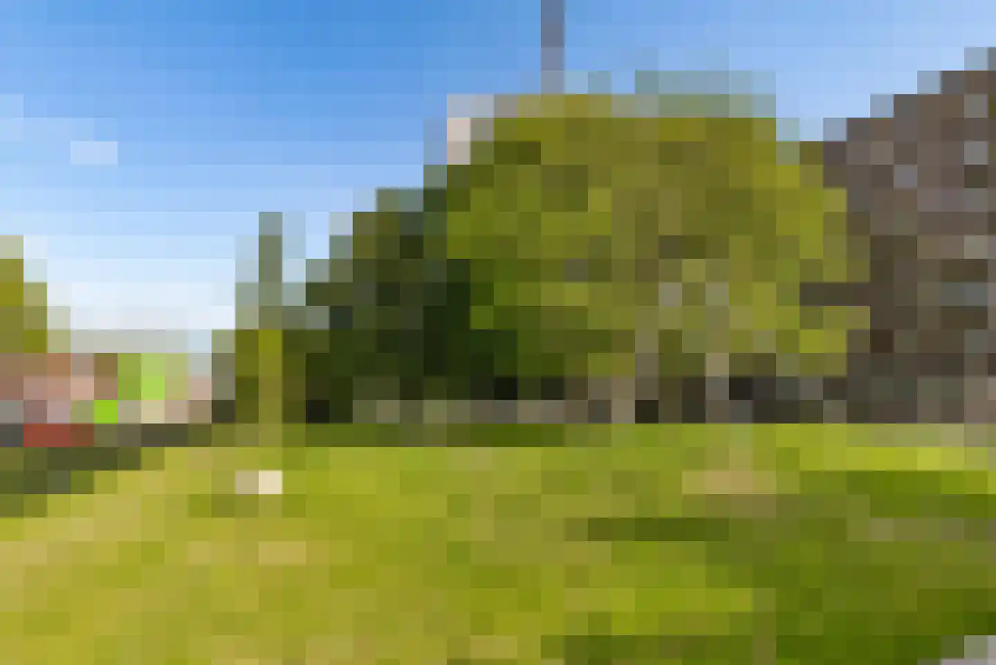 Kerstomaatplantsoen 26 Amsterdam thumbnail 45