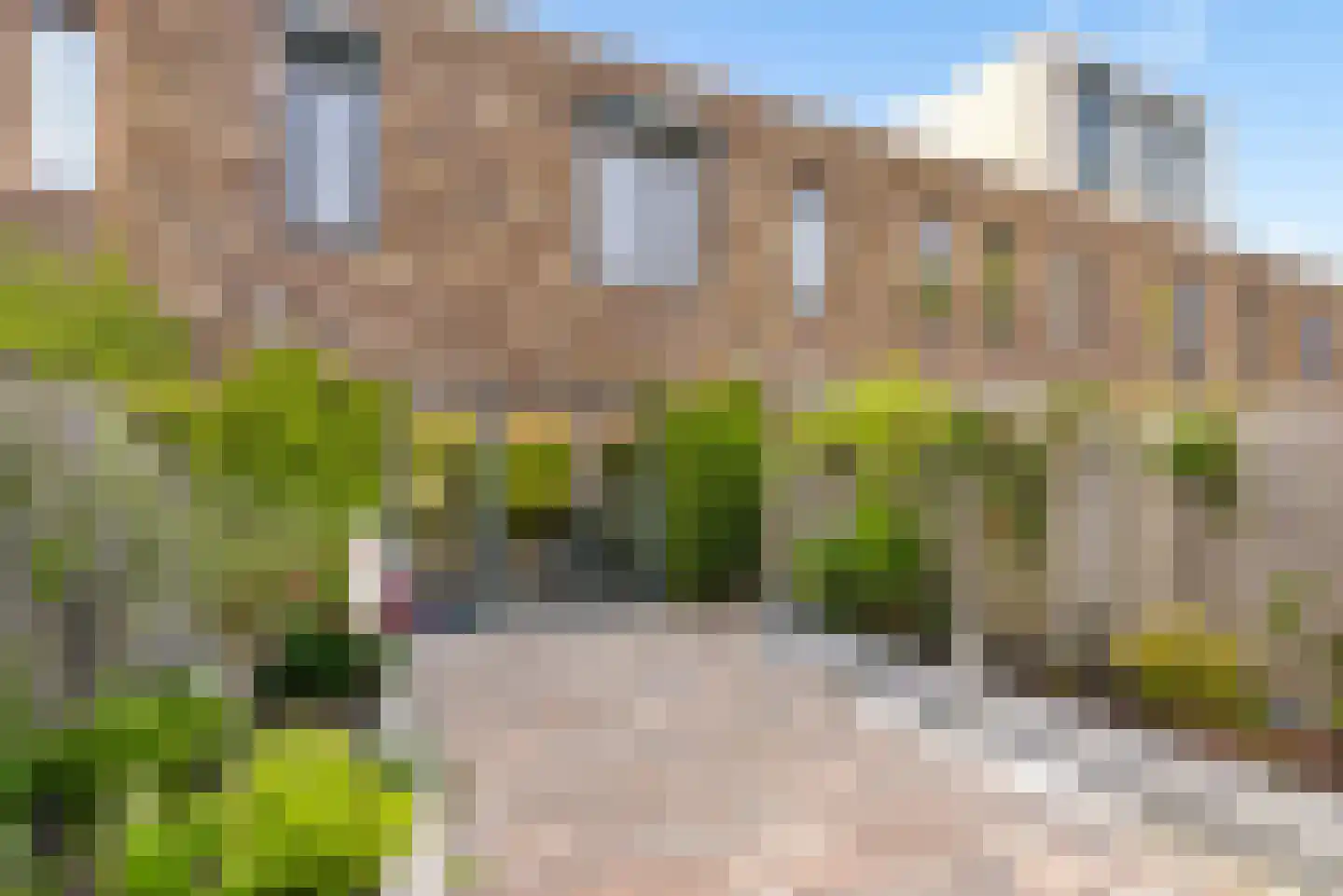 Kerstomaatplantsoen 26 Amsterdam thumbnail 8