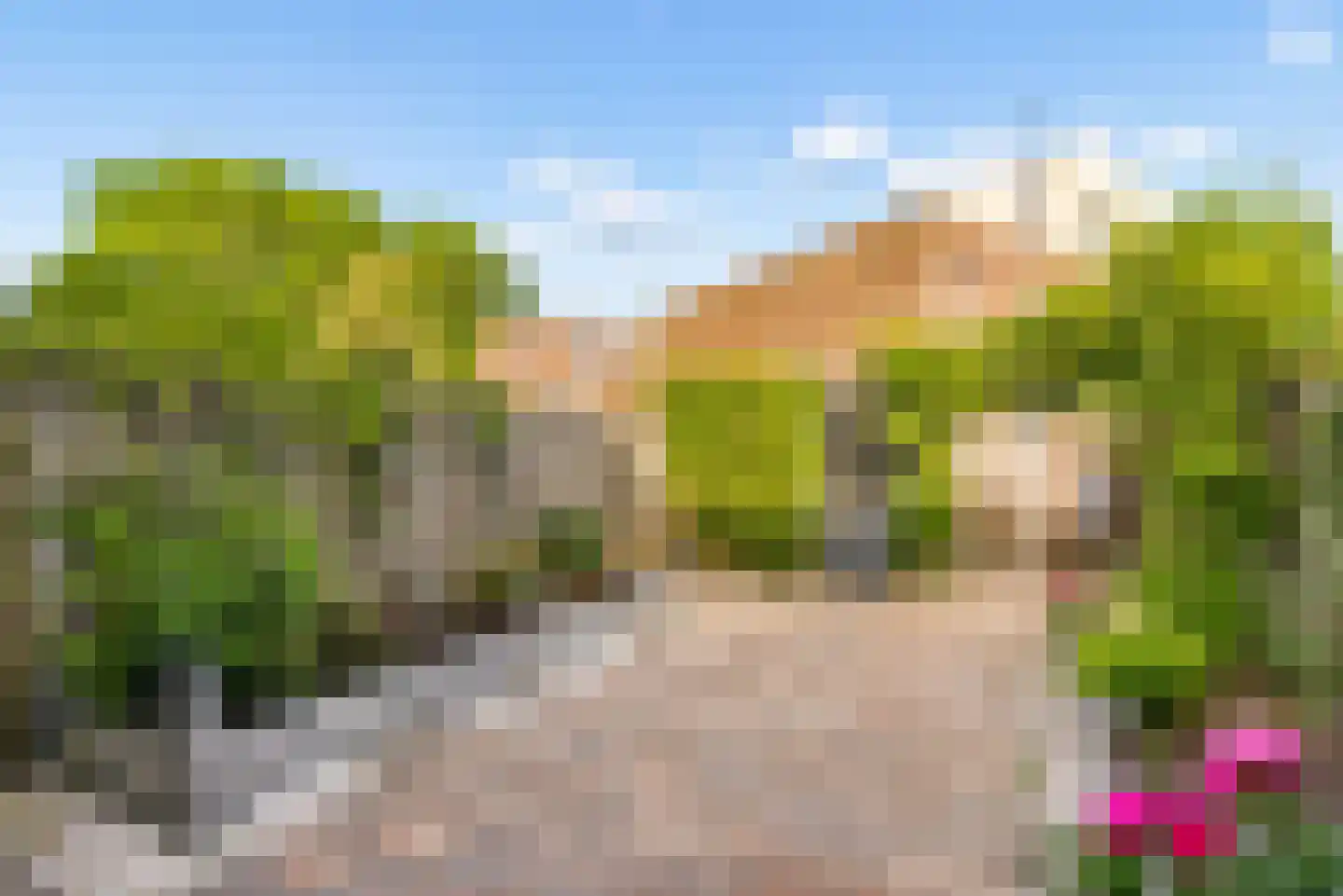 Kerstomaatplantsoen 26 Amsterdam thumbnail 9