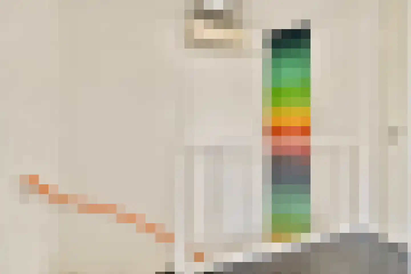 Kerstomaatplantsoen 32 Amsterdam thumbnail 16