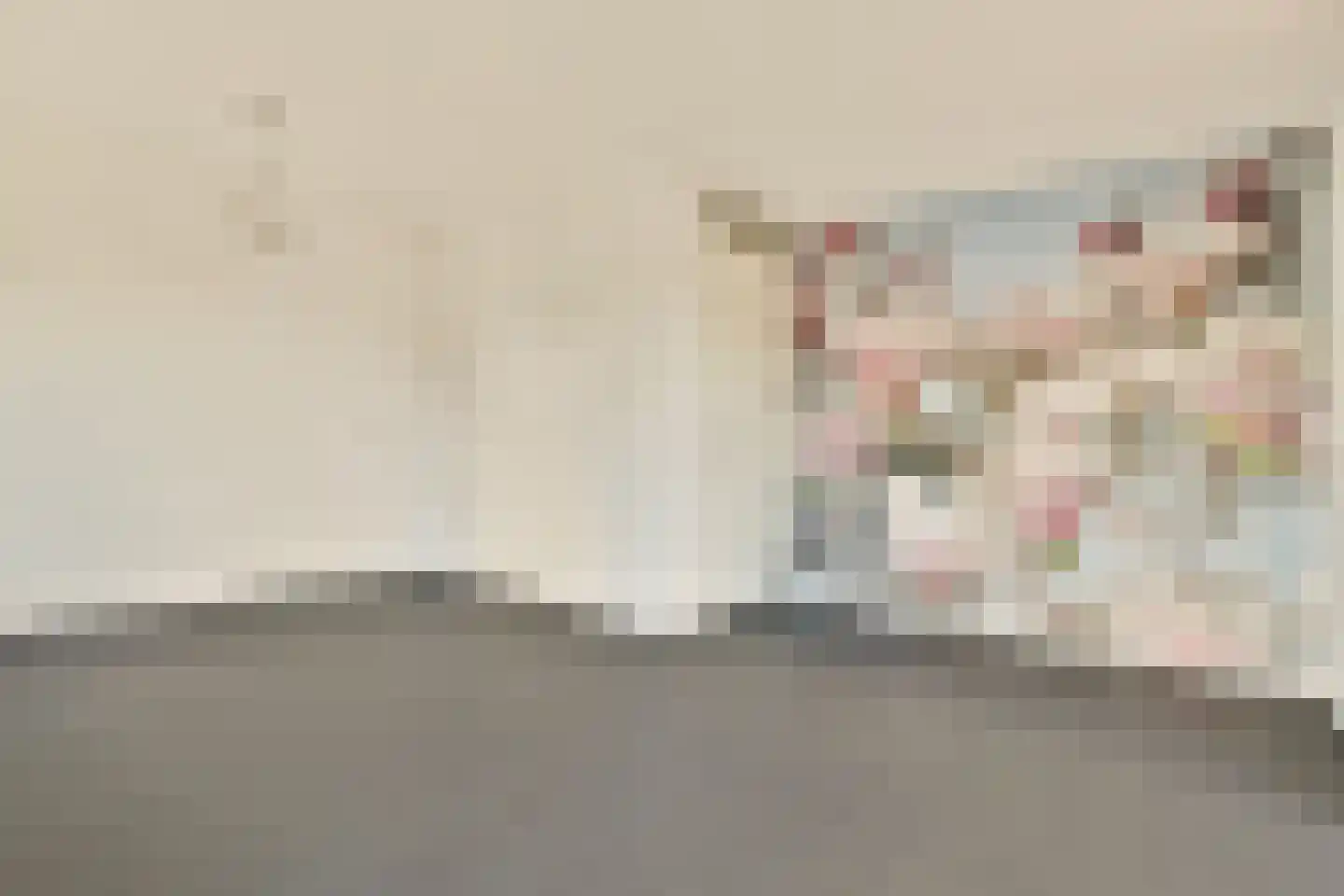 Kerstomaatplantsoen 32 Amsterdam thumbnail 18