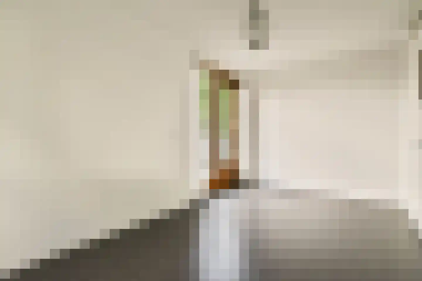 Kerstomaatplantsoen 32 Amsterdam thumbnail 20