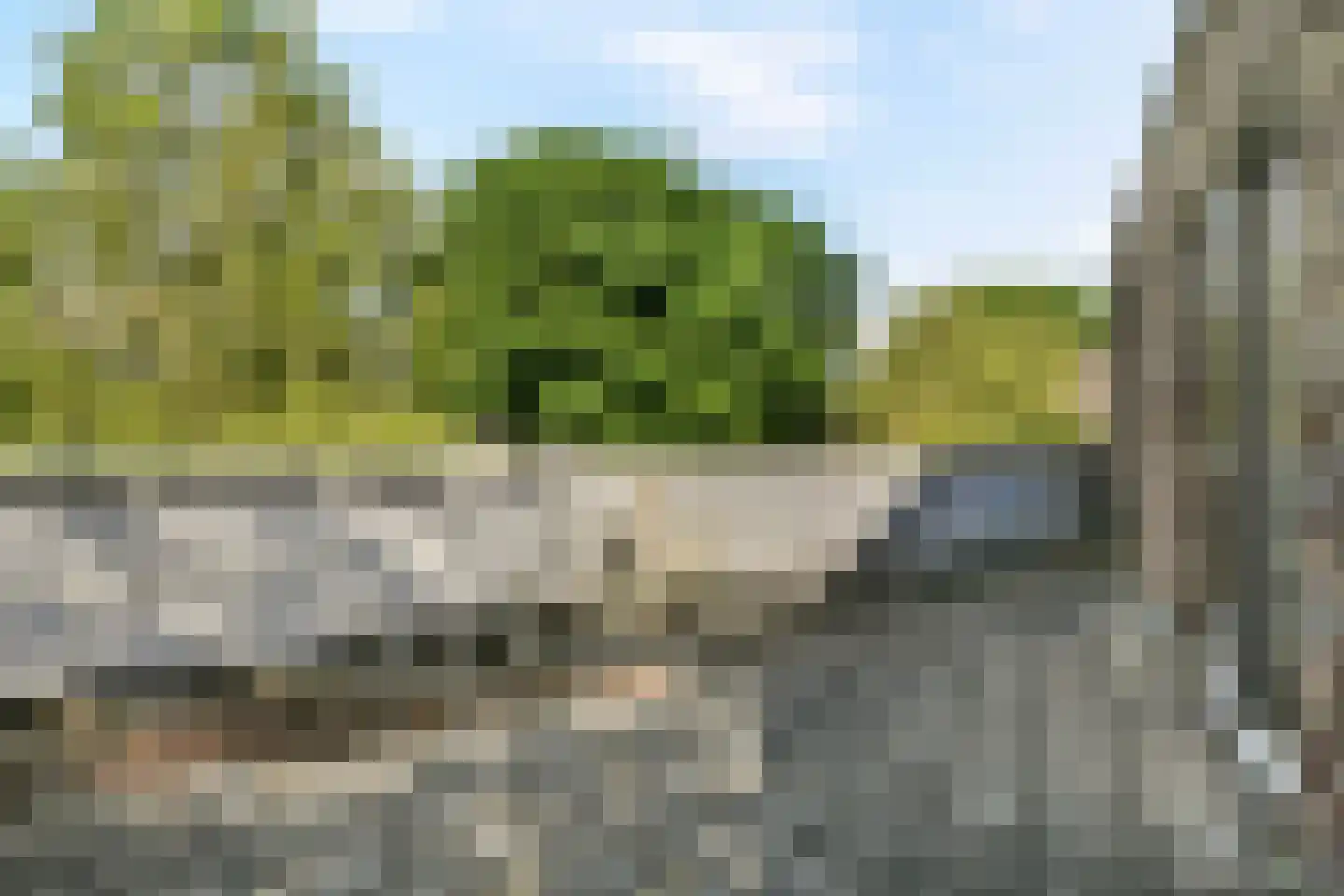 Kerstomaatplantsoen 32 Amsterdam thumbnail 21