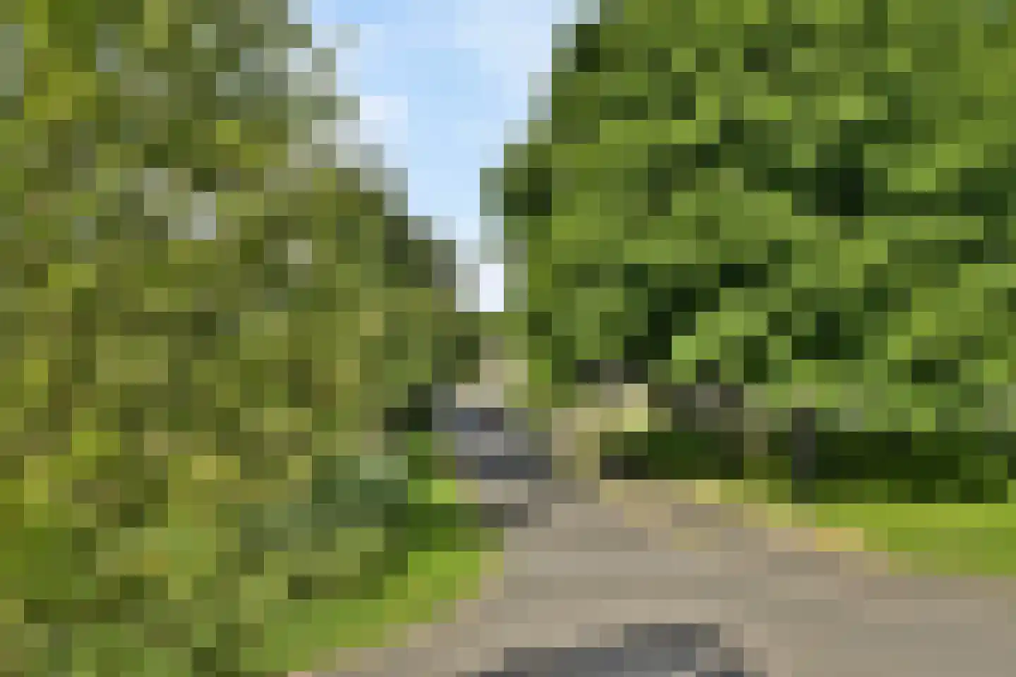 Kerstomaatplantsoen 32 Amsterdam thumbnail 23