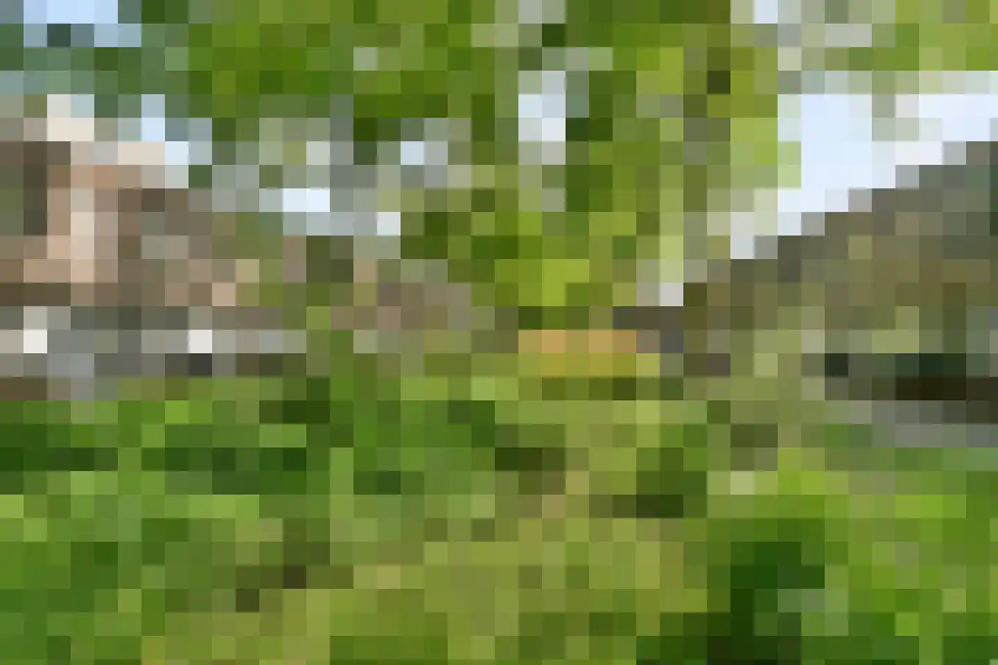 Kerstomaatplantsoen 32 Amsterdam thumbnail 27
