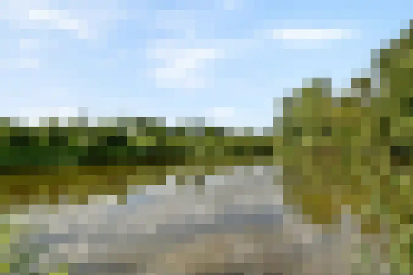 Kerstomaatplantsoen 32 Amsterdam thumbnail 30