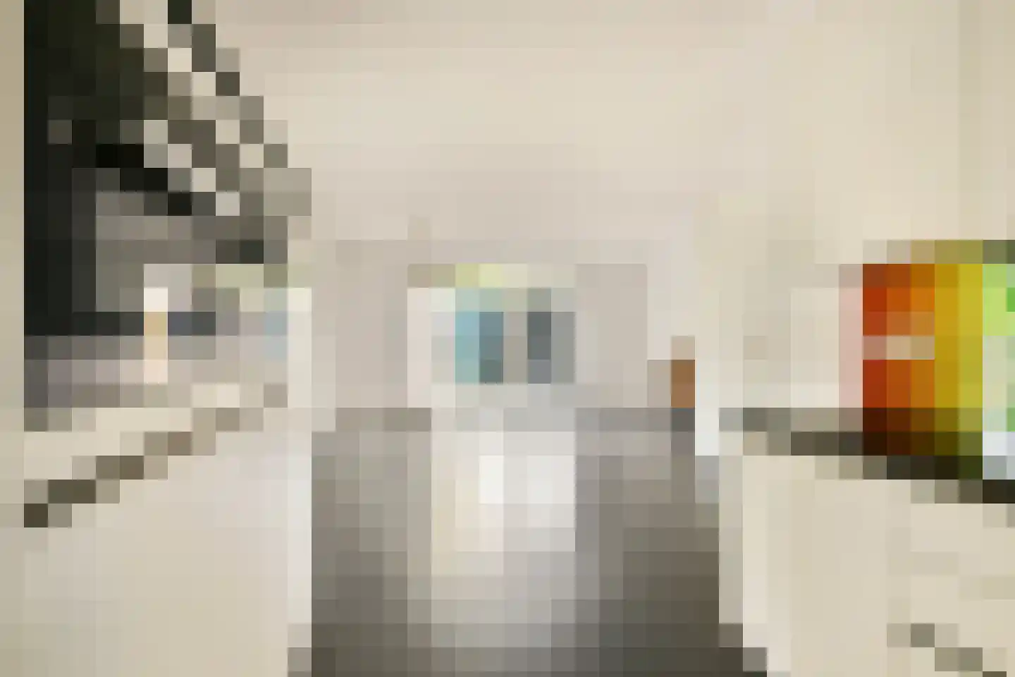 Kerstomaatplantsoen 32 Amsterdam thumbnail 9