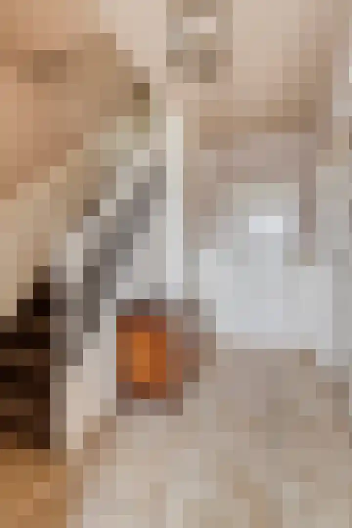 Kerstroosstraat 4 Valkenswaard thumbnail 6