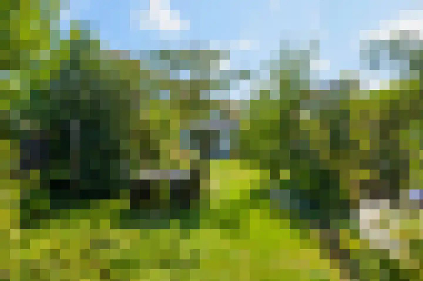 Kersweg 33 Amerongen thumbnail 36