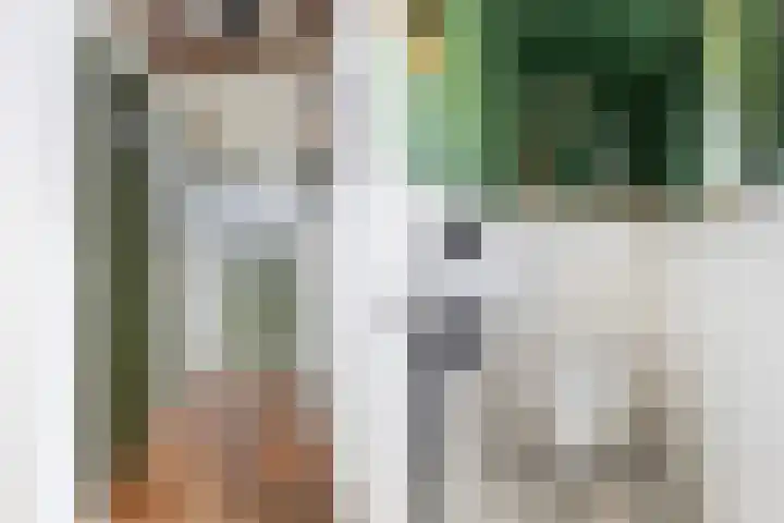 Kertiersreed 2 Westergeast thumbnail 12