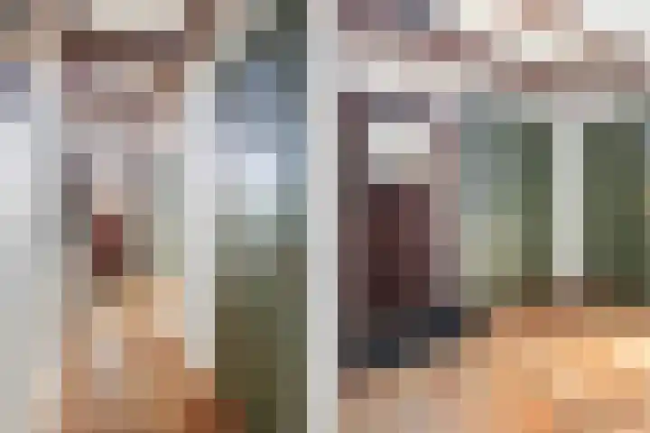 Kertiersreed 2 Westergeast thumbnail 13
