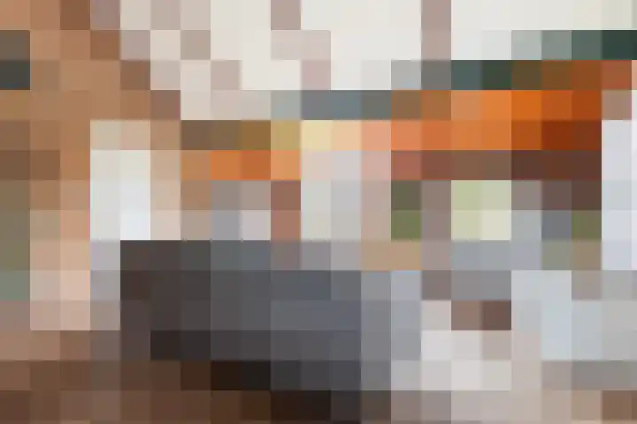 Kertiersreed 2 Westergeast thumbnail 15