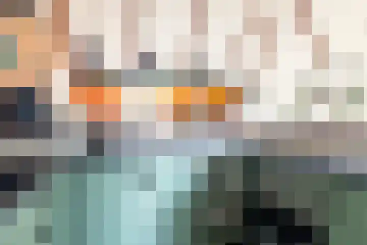 Kertiersreed 2 Westergeast thumbnail 21