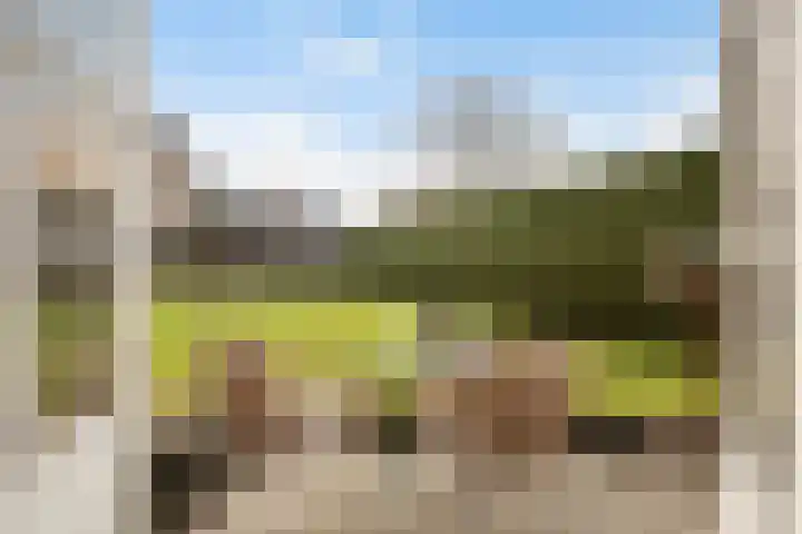 Kertiersreed 2 Westergeast thumbnail 22