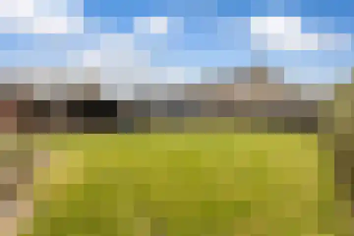 Kertiersreed 2 Westergeast thumbnail 23