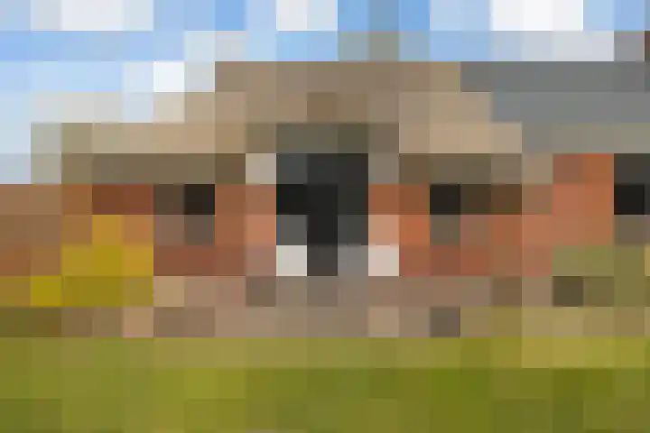 Kertiersreed 2 Westergeast thumbnail 24