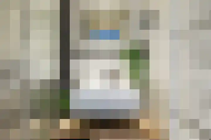 Kertiersreed 2 Westergeast thumbnail 30