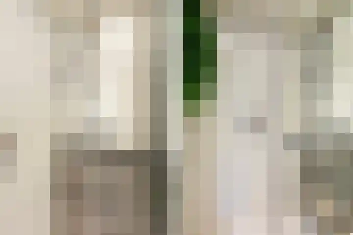 Kertiersreed 2 Westergeast thumbnail 31