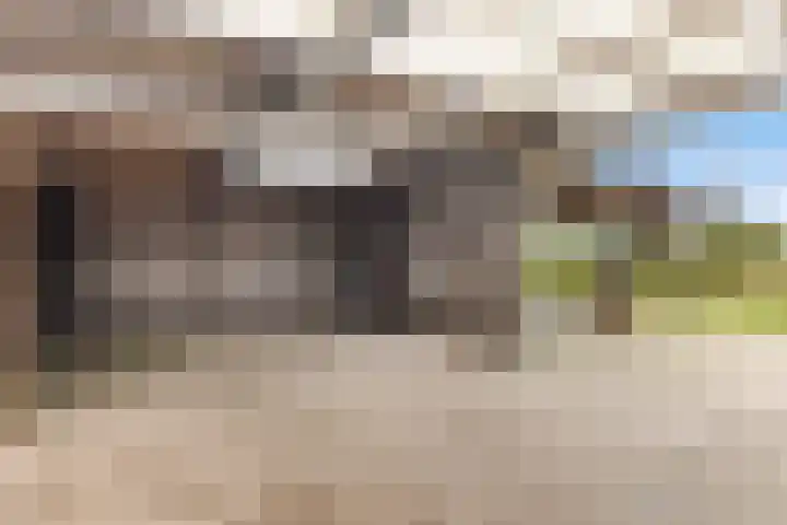 Kertiersreed 2 Westergeast thumbnail 38