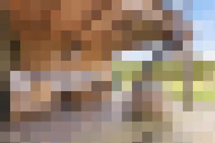 Kertiersreed 2 Westergeast thumbnail 41