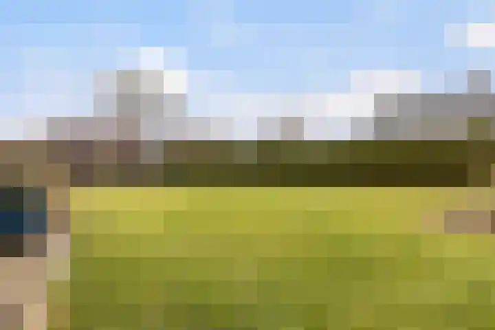 Kertiersreed 2 Westergeast thumbnail 43