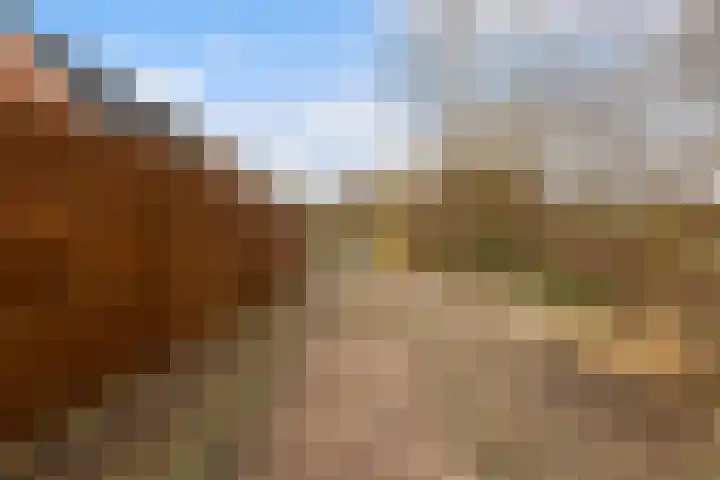 Kertiersreed 2 Westergeast thumbnail 44