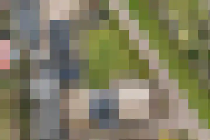 Kertiersreed 2 Westergeast thumbnail 45