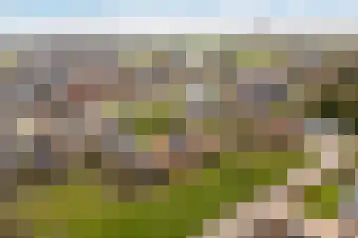 Kertiersreed 2 Westergeast thumbnail 47