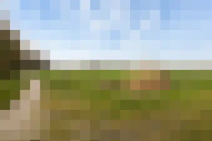 Kertiersreed 2 Westergeast thumbnail 48