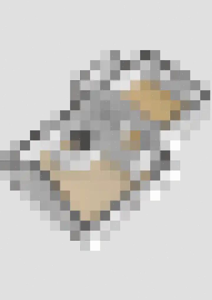 Kertiersreed 2 Westergeast thumbnail 50