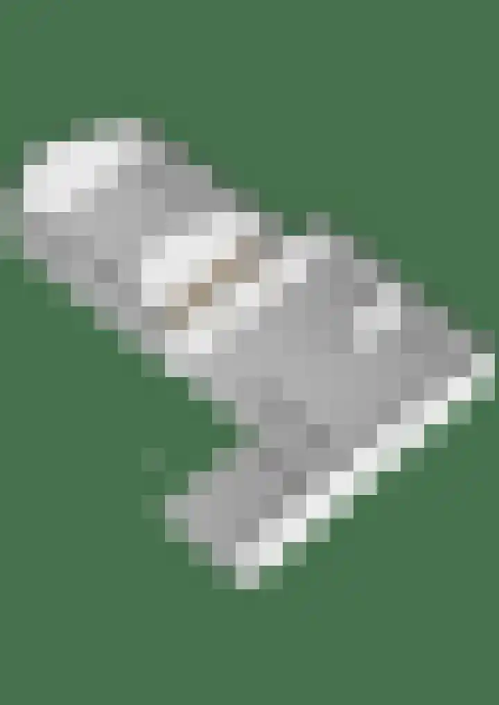 Kertiersreed 2 Westergeast thumbnail 54