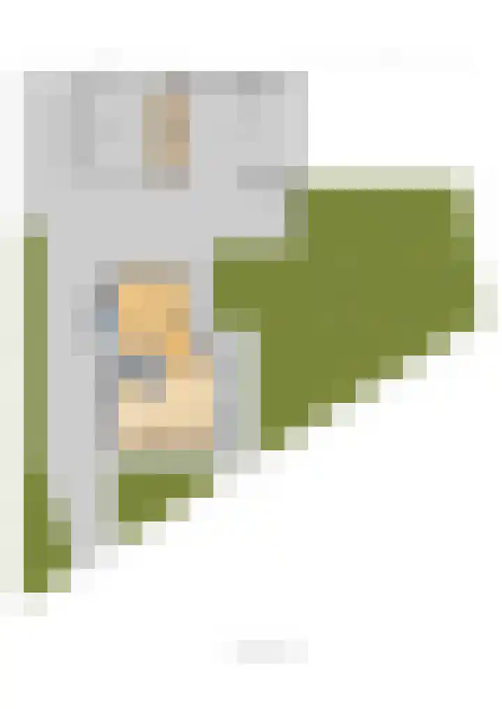 Kertiersreed 2 Westergeast thumbnail 55