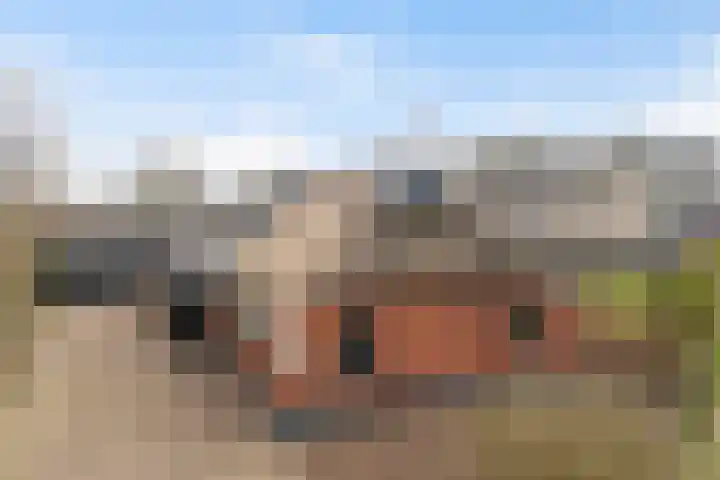 Kertiersreed 2 Westergeast thumbnail 7