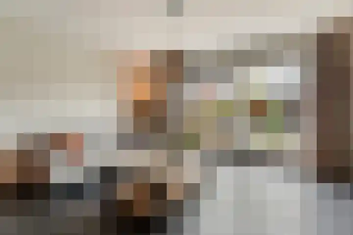 Kervel 14 Hardenberg thumbnail 15