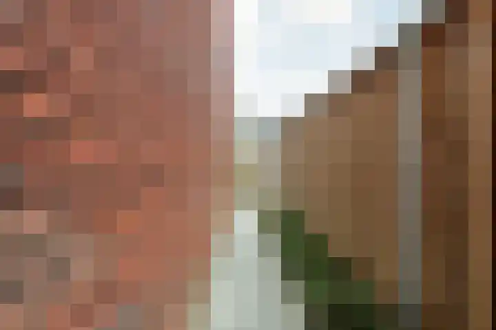 Kervel 14 Hardenberg thumbnail 47