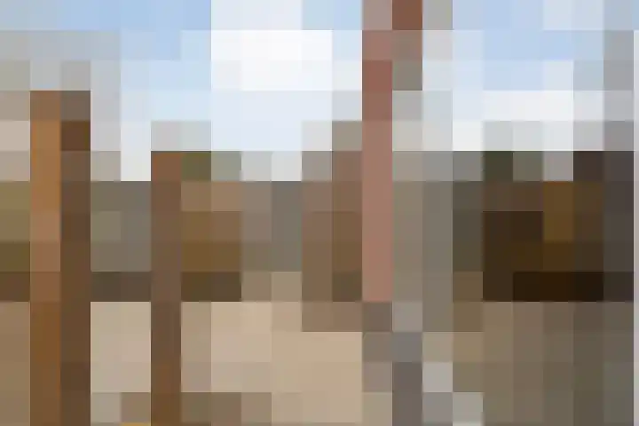 Kervel 14 Hardenberg thumbnail 49