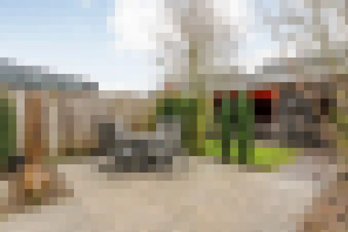 Kervel 14 Hardenberg thumbnail 51