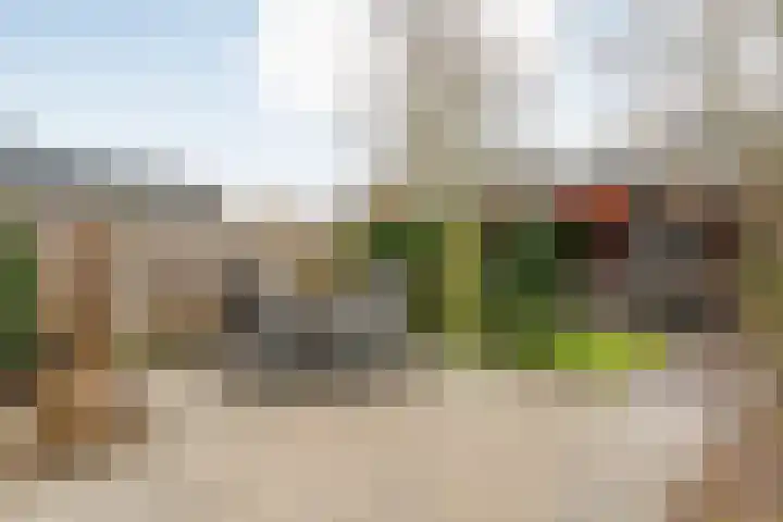 Kervel 14 Hardenberg thumbnail 51