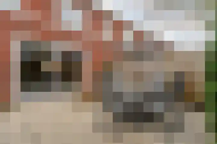Kervel 14 Hardenberg thumbnail 52