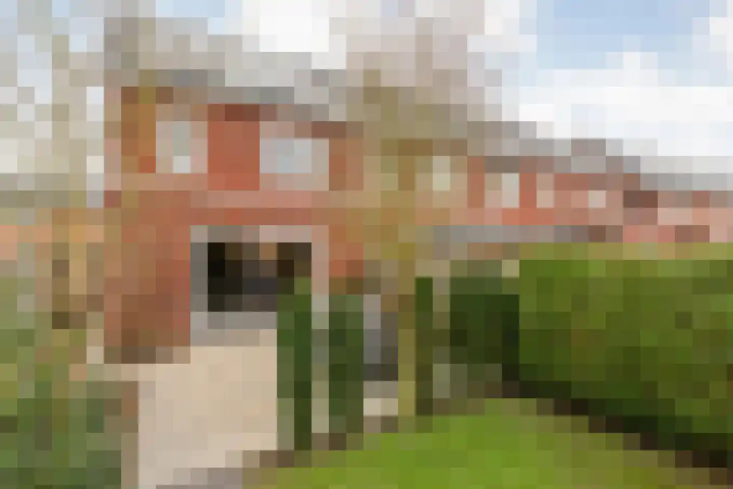 Kervel 14 Hardenberg thumbnail 53