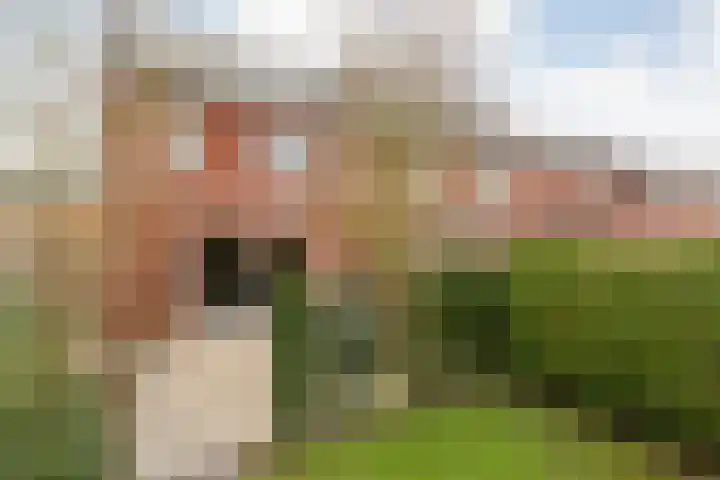 Kervel 14 Hardenberg thumbnail 53