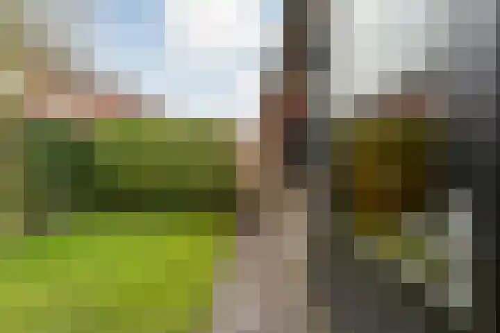 Kervel 14 Hardenberg thumbnail 55