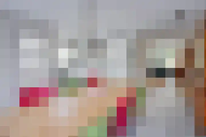 Kervel 14 Hoogkarspel thumbnail 10