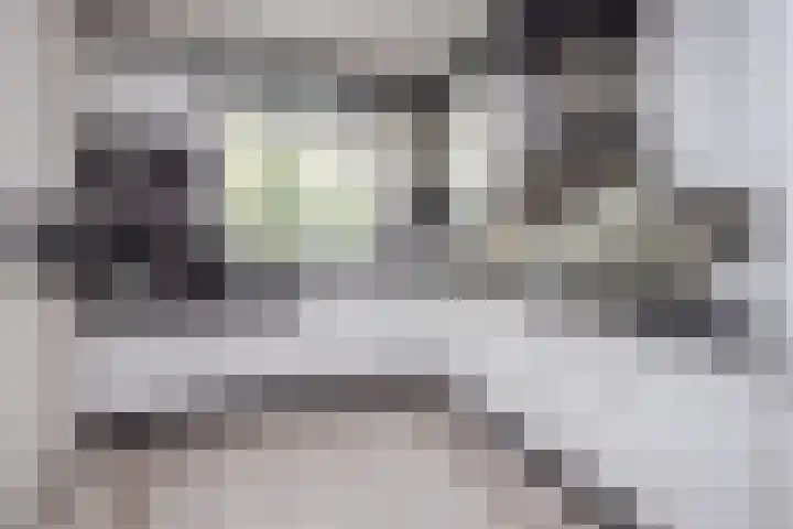 Kervel 14 Hoogkarspel thumbnail 11