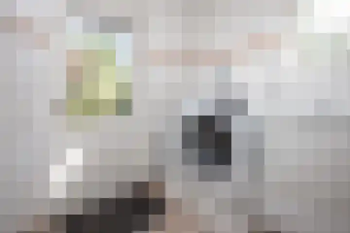 Kervel 14 Hoogkarspel thumbnail 12