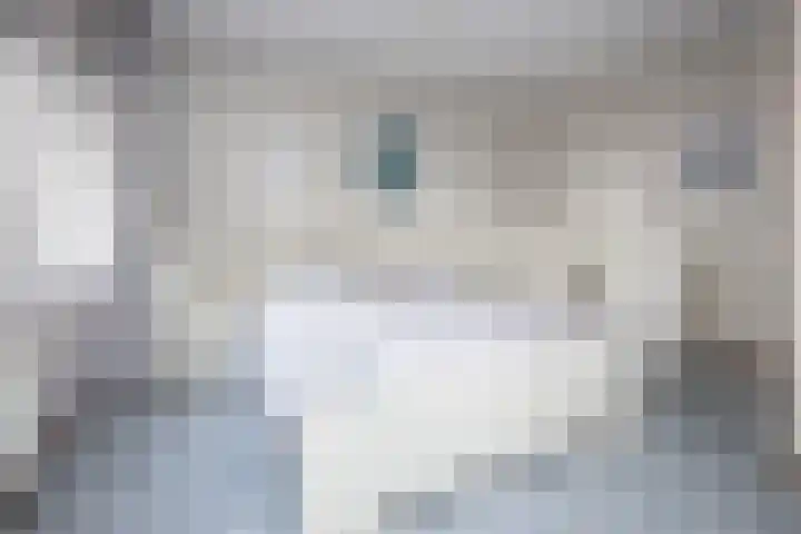 Kervel 14 Hoogkarspel thumbnail 16