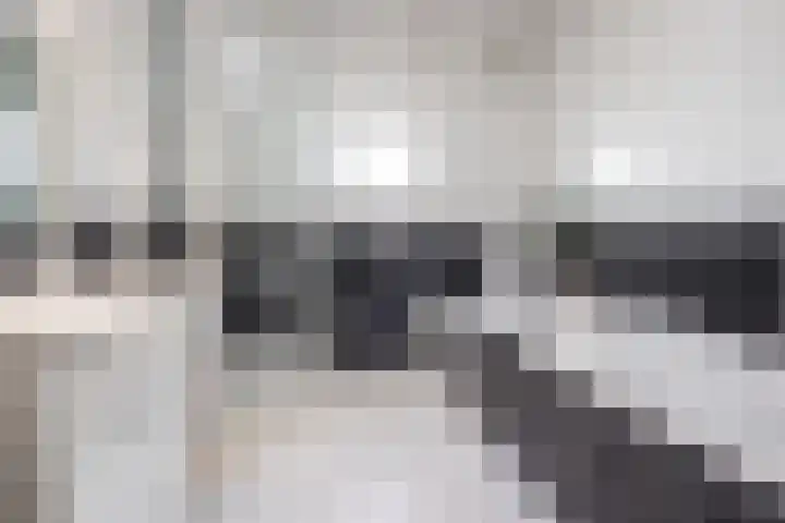 Kervel 14 Hoogkarspel thumbnail 19