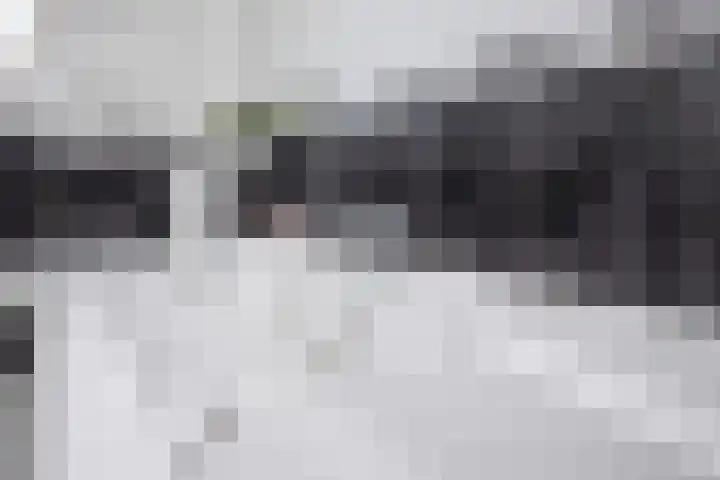 Kervel 14 Hoogkarspel thumbnail 21